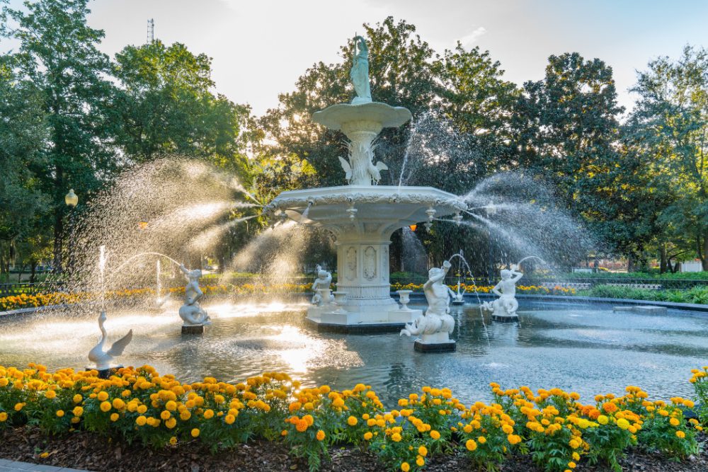  Forsyth Park
