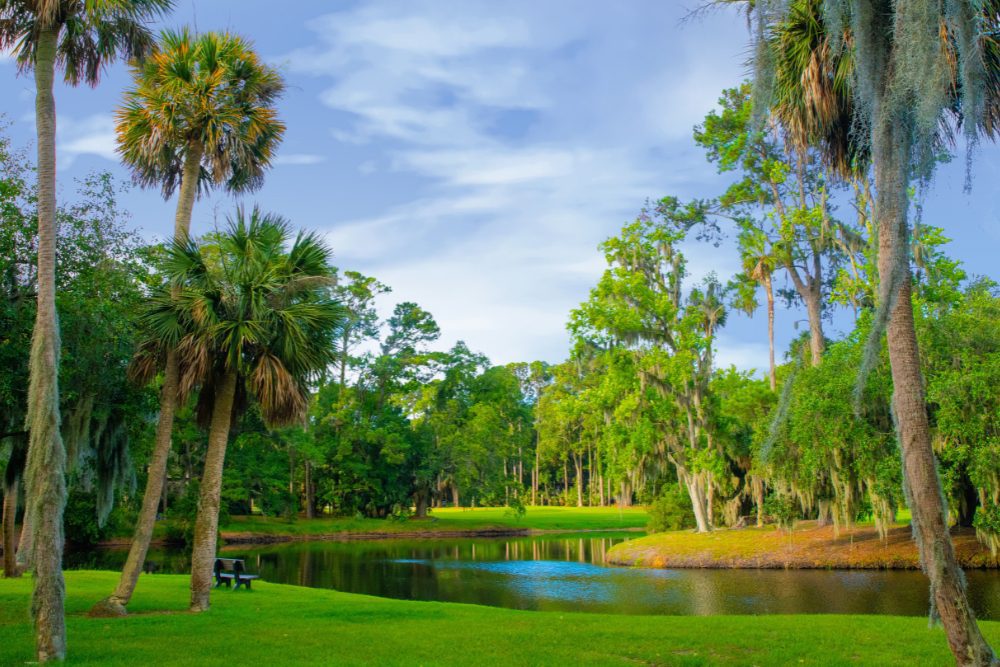 Hilton Head or Savannah, which one is Better? Palmetto Car Service