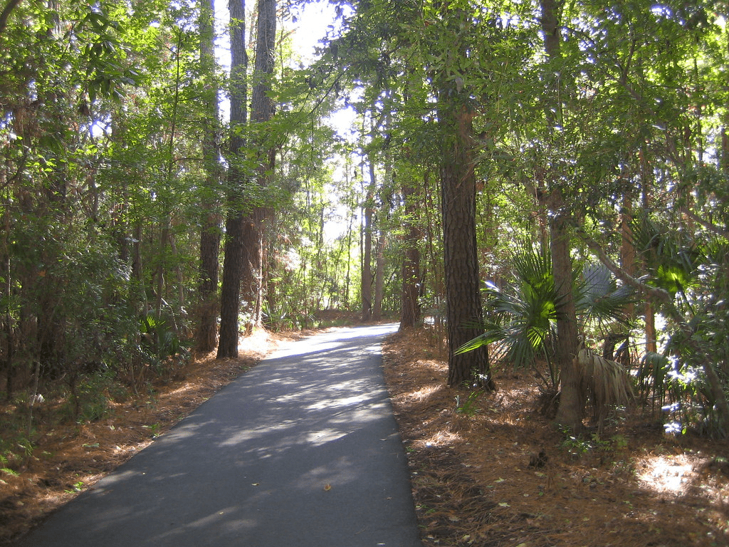 Nature Trails of Sea Pines Hilton Head.