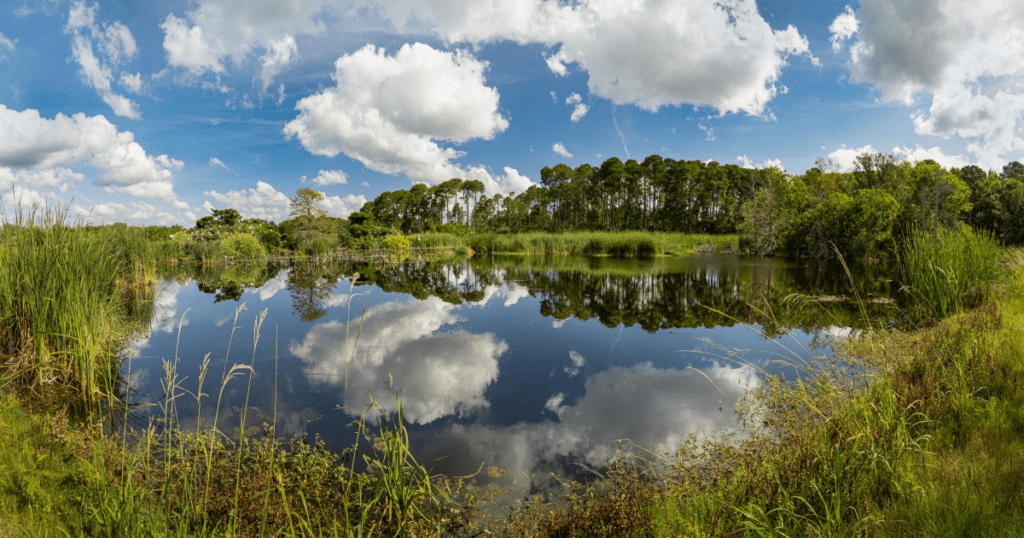 Pinckney Island National Wildlife Refuge